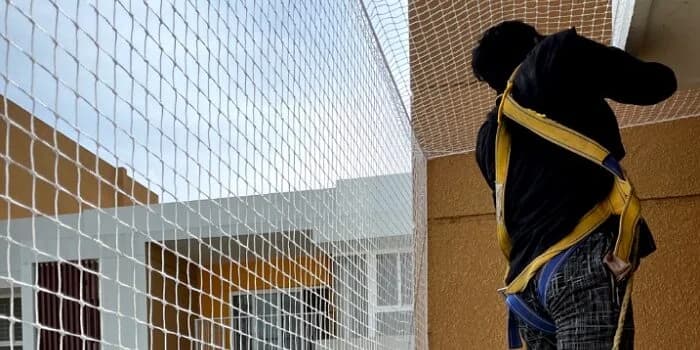 Pigeon Bird Netting Installation