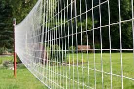 Bird Netting Services in Gurugram